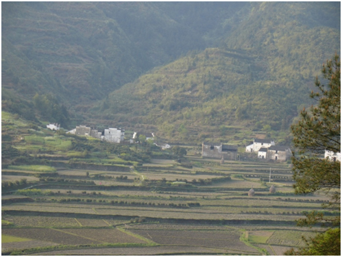 扬帆配资 走近19世纪的中国农民：有很高的读写需求，不都是内卷的