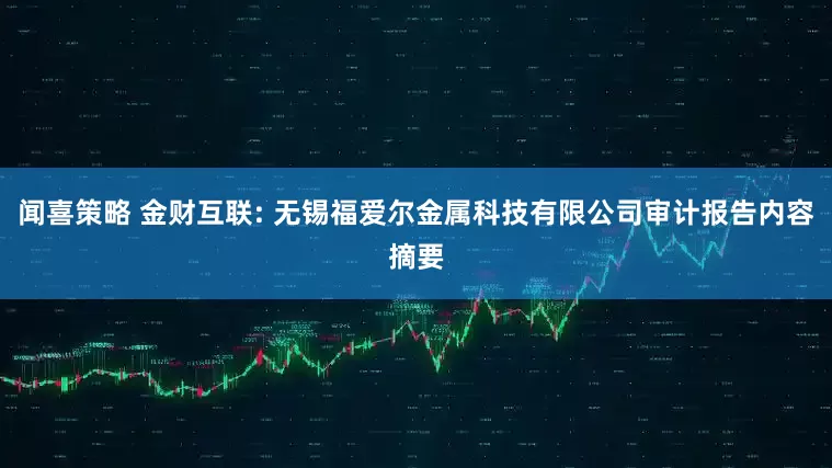 闻喜策略 金财互联: 无锡福爱尔金属科技有限公司审计报告内容摘要