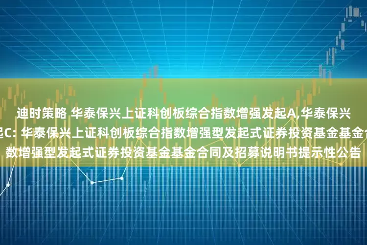 迪时策略 华泰保兴上证科创板综合指数增强发起A,华泰保兴上证科创板综合指数增强发起C: 华泰保兴上证科创板综合指数增强型发起式证券投资基金基金合同及招募说明书提示性公告